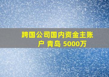 跨国公司国内资金主账户 青岛 5000万